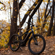 Image for article titled Harley-Davidson's Serial 1 E-Bikes Are Better Than They Have Any Right To Be